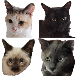 Chats